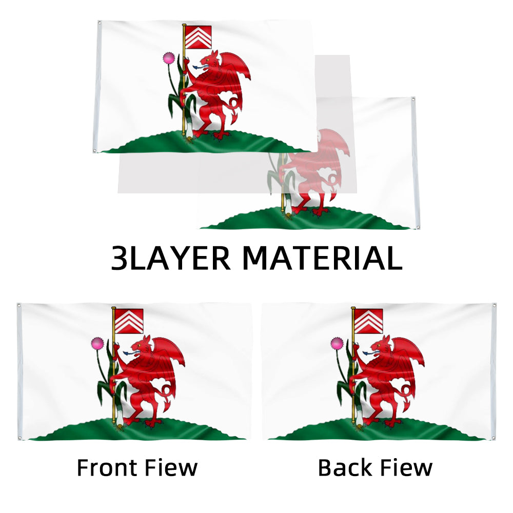 Cardiff flag 3x5ft banner man cave