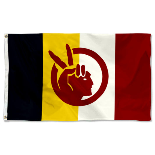 American Indian Movement flag 3x5ft banner man cave