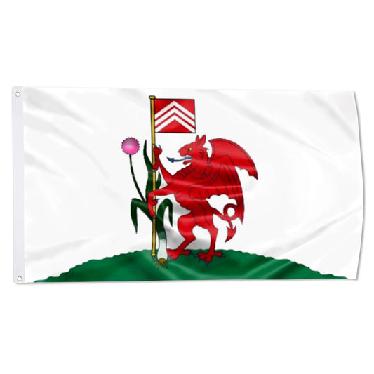 Cardiff flag 3x5ft banner man cave