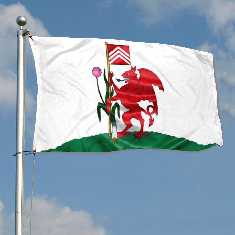 Cardiff flag 3x5ft banner man cave