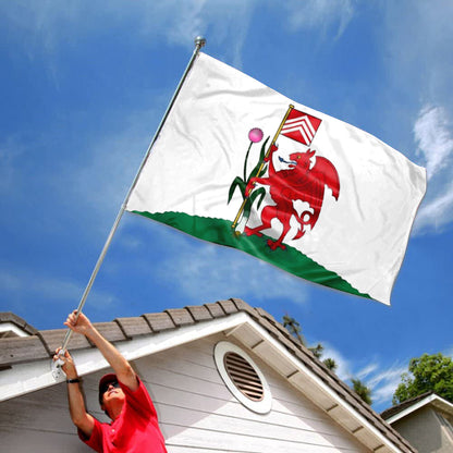 Cardiff flag 3x5ft banner man cave