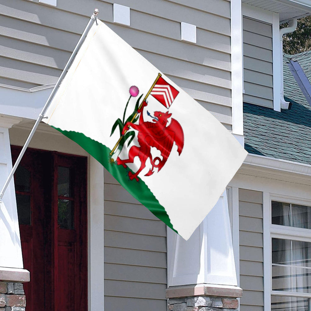 Cardiff flag 3x5ft banner man cave