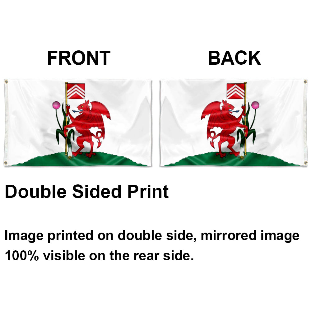 Cardiff flag 3x5ft banner man cave