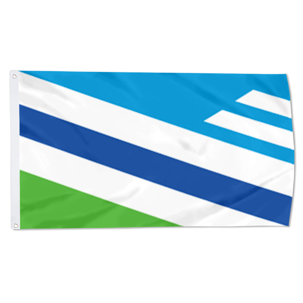 City of Dayton (Ohio, USA) Flag: 3x5ft Man Cave American Ohio Modern Minimalist Style Decor Banner