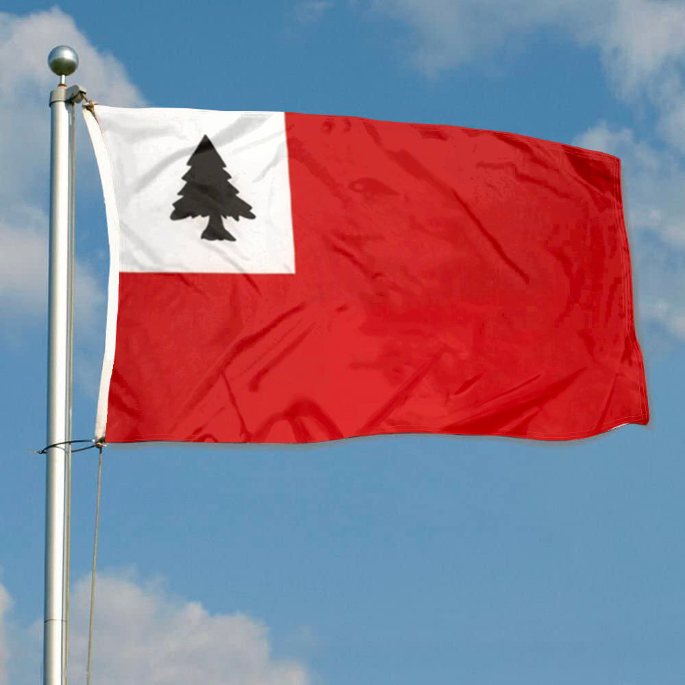 Continental flag 3x5ft banner man cave