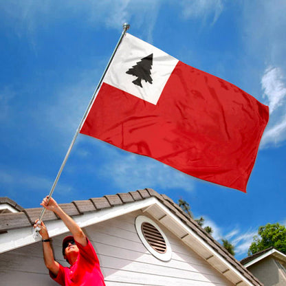 Continental flag 3x5ft banner man cave