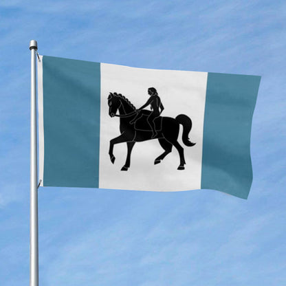 Coventry (UK) City flag 3x5ft banner man cave