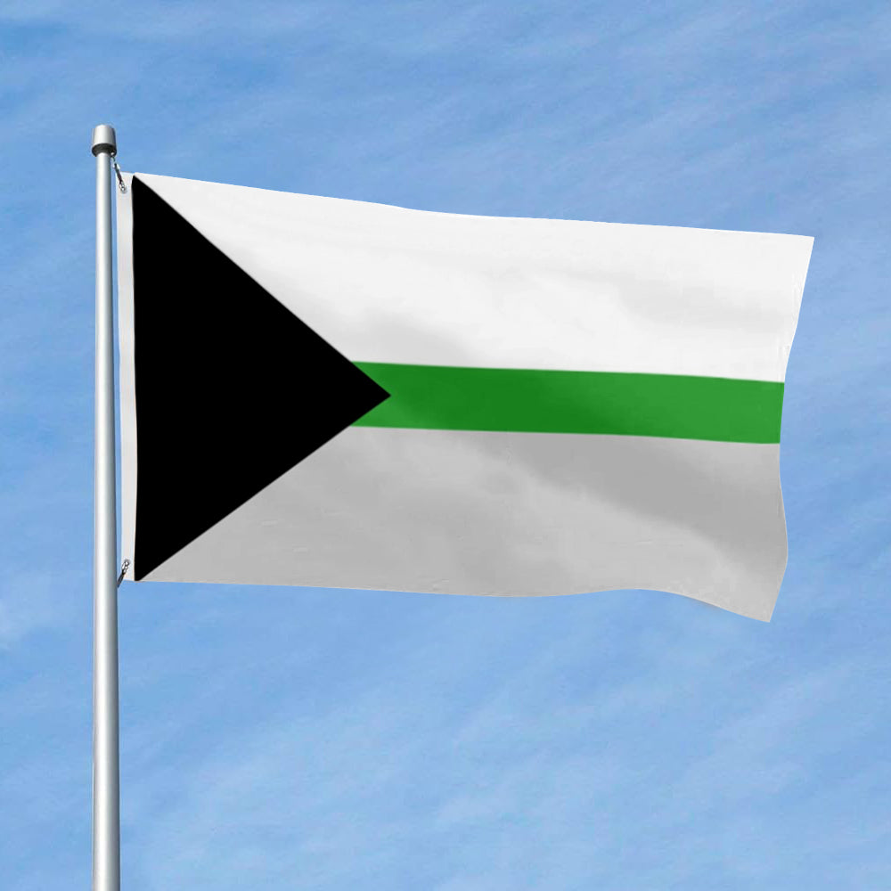 Demiromantic flag 3x5ft banner man cave