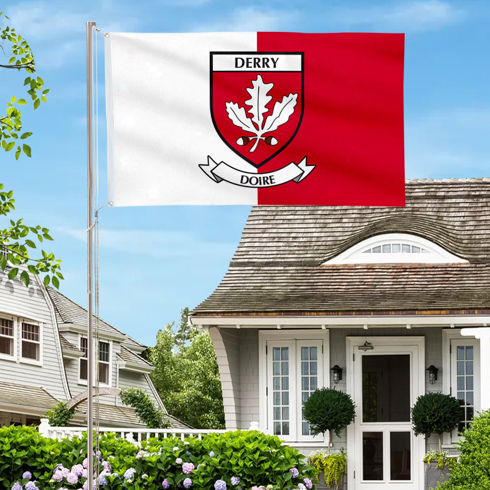Derry County Coat of Arms Ireland flag 3x5ft banner man cave