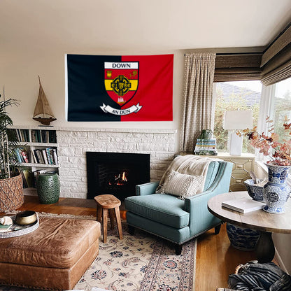 Down County Coat of Arms Ireland flag 3x5ft banner man cave