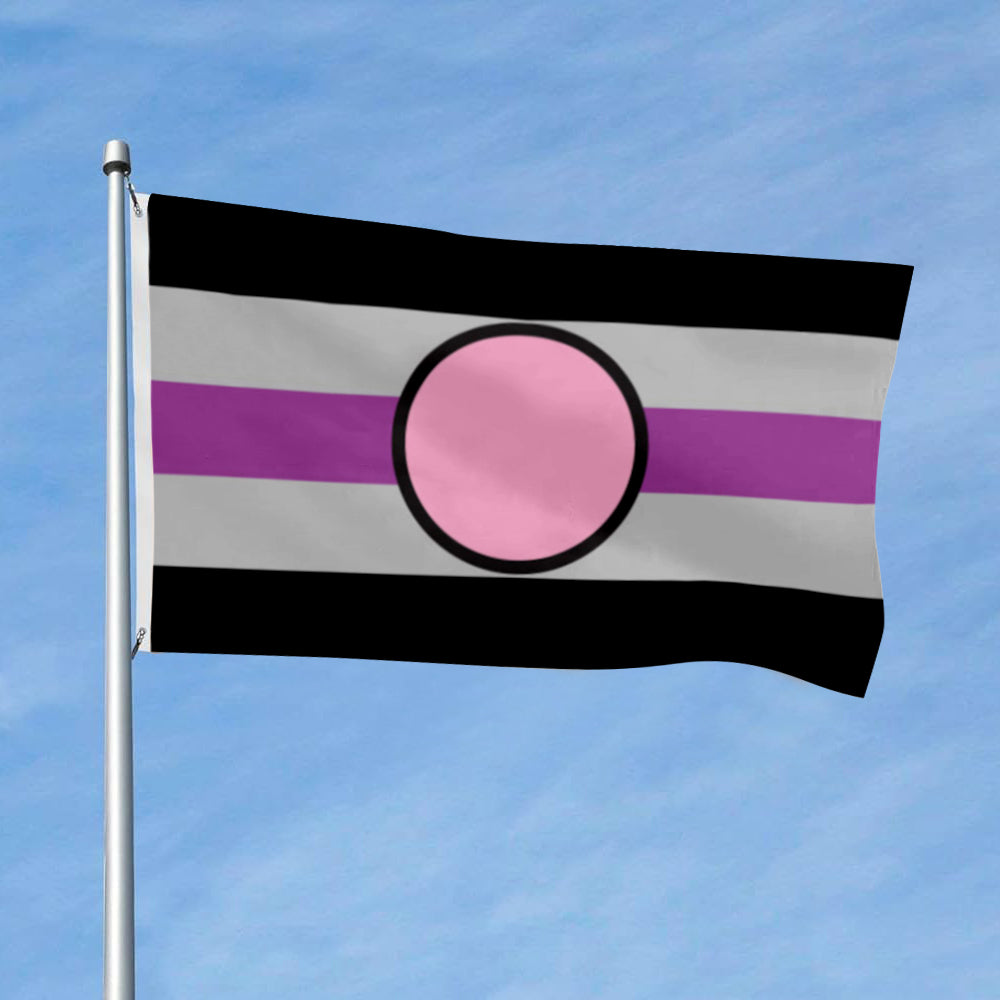 Fictosexuality flag 3x5ft banner man cave
