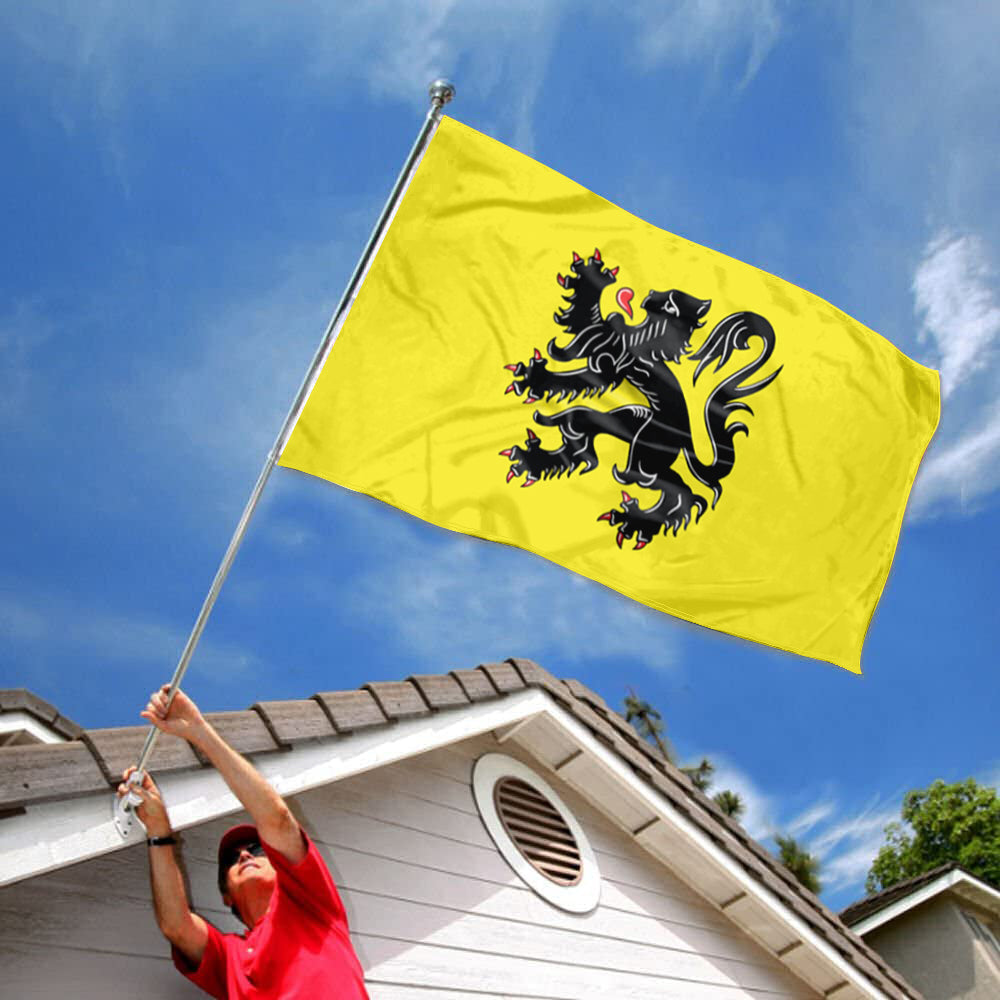 Flanders Lion flag 3x5ft banner man cave