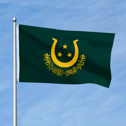 Kentucky flag 3x5ft banner man cave