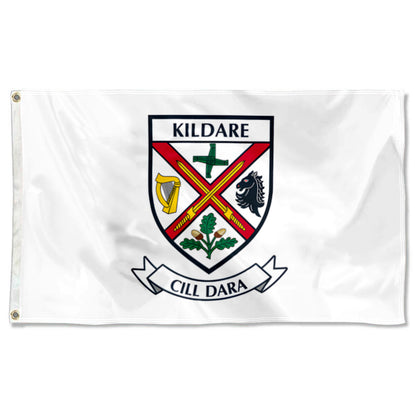 Kildare County Coat of Arms Ireland flag 3x5ft banner man cave