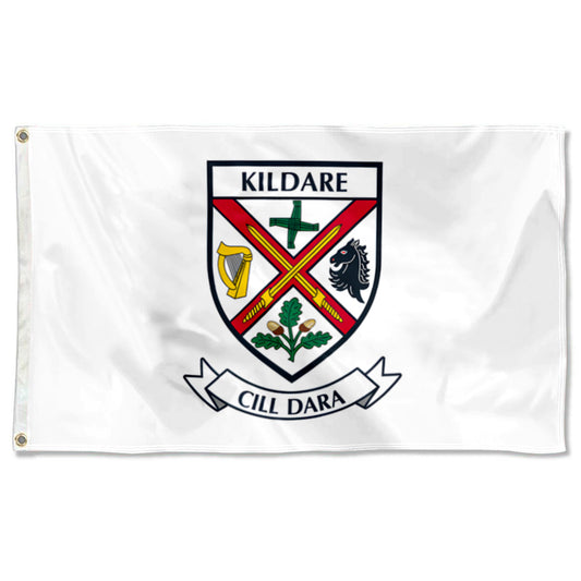 Kildare County Coat of Arms Ireland flag 3x5ft banner man cave