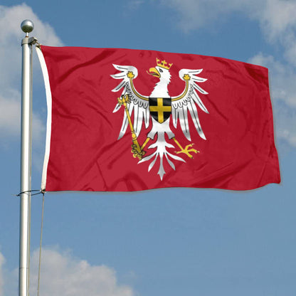 The Witcher Kingdom of Redania flag 3x5ft banner man cave