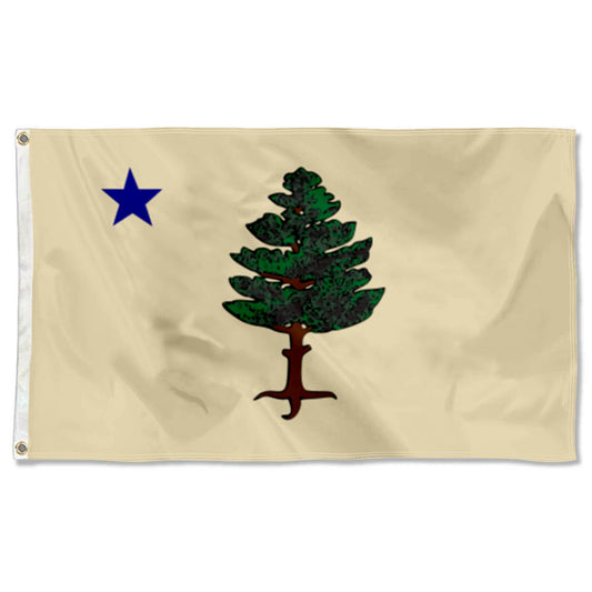 Maine 1901 to 1909 Landscape flag 3x5ft banner man cave