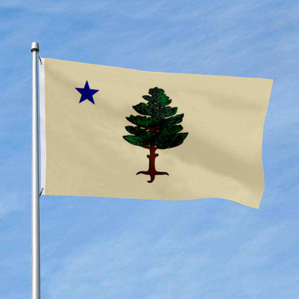 Maine 1901 to 1909 Landscape flag 3x5ft banner man cave