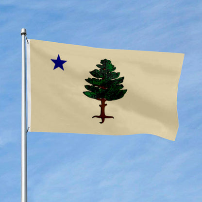 Maine 1901 to 1909 Landscape flag 3x5ft banner man cave