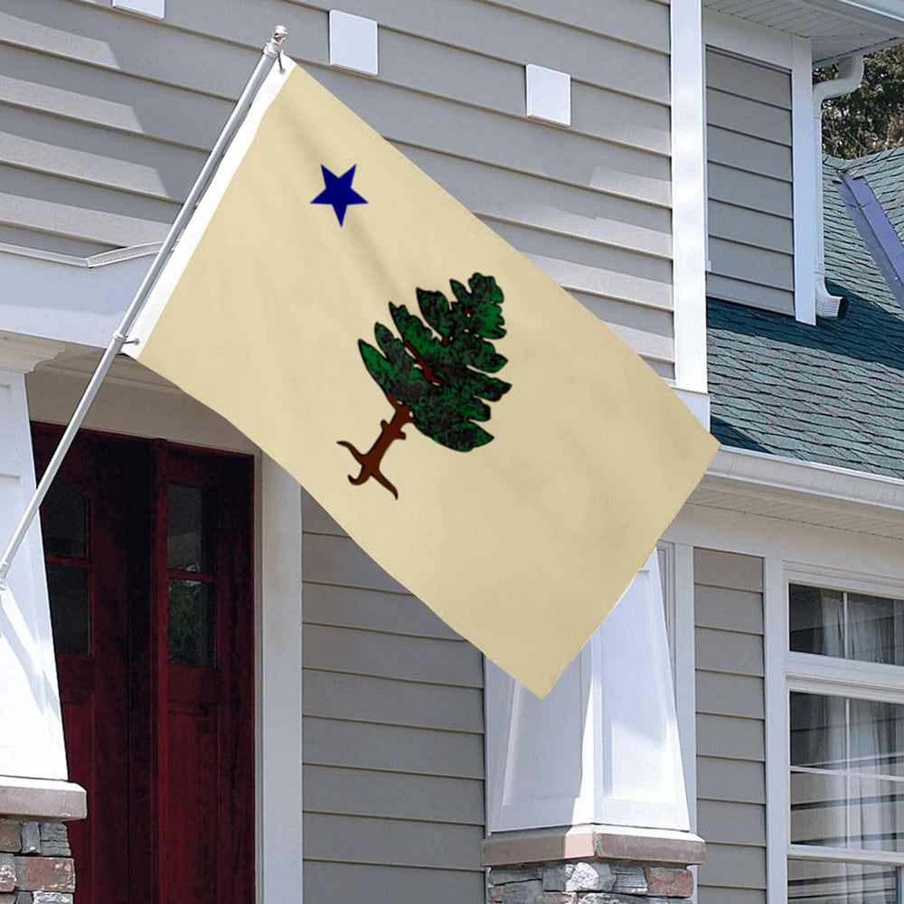 Maine 1901 to 1909 Landscape flag 3x5ft banner man cave