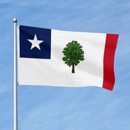 Mississippi 1861 Magnolia flag 3x5ft banner man cave