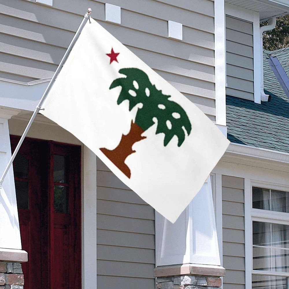 Palmetto Guard flag 3x5ft banner man cave