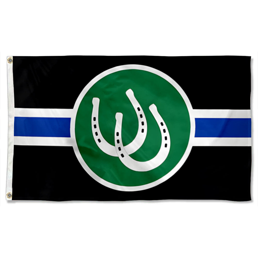 Pony Play Pride flag 3x5ft banner man cave