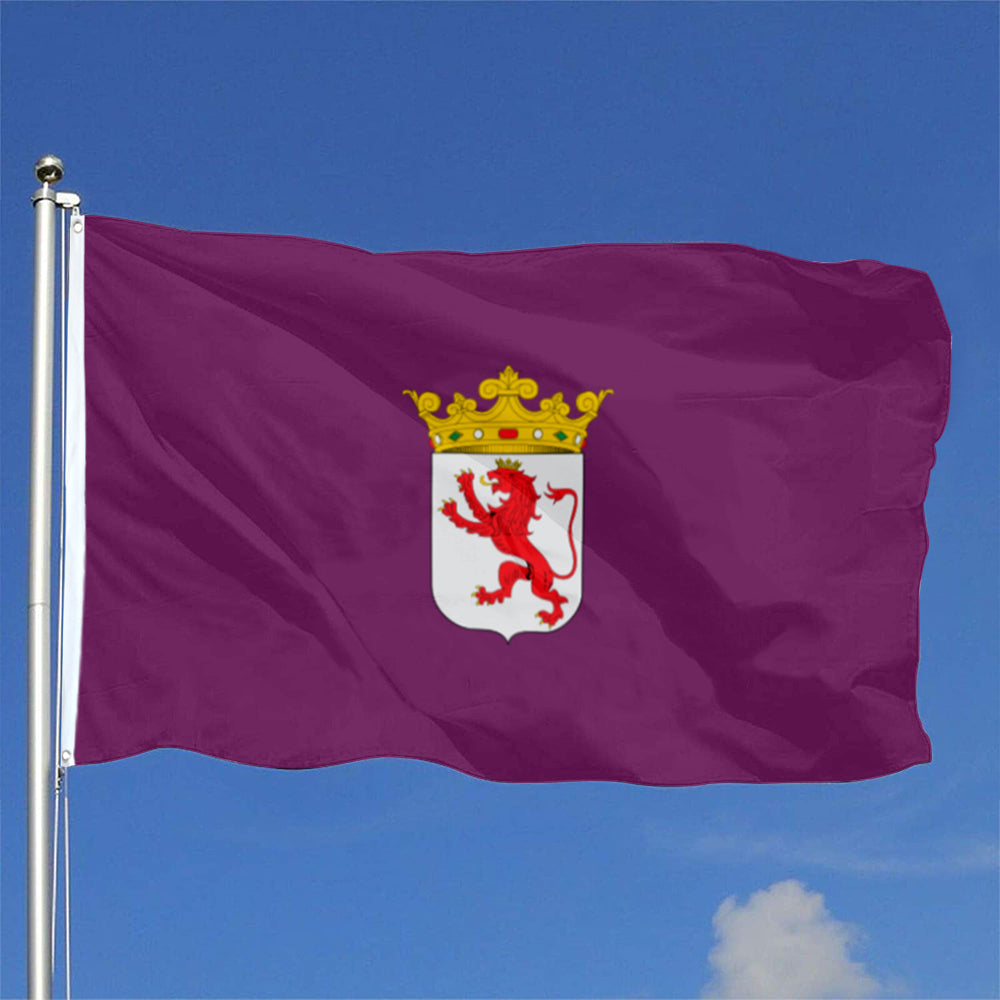Province of León (Spain) flag 3x5ft banner man cave