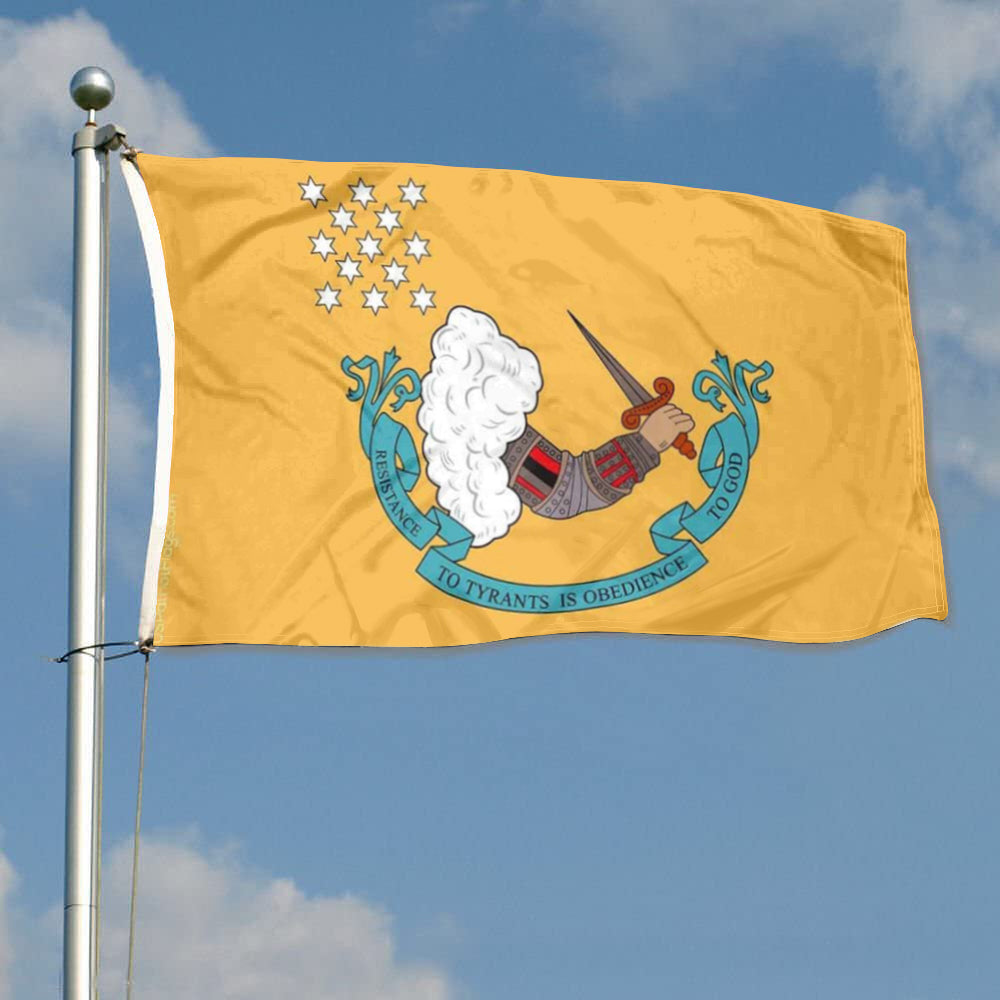 Resistance to Tyrants (Gostelowe) flag 3x5ft banner man cave