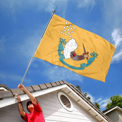 Resistance to Tyrants (Gostelowe) flag 3x5ft banner man cave