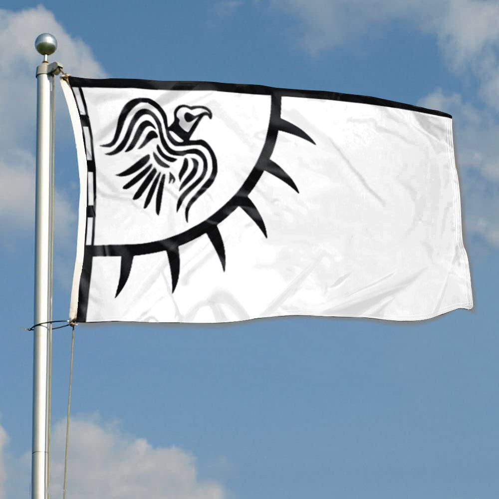 Viking Raven flag 3x5ft banner man cave