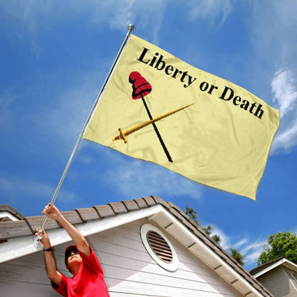 White Plains Liberty of Death Revolutionary War flag 3x5ft banner man cave