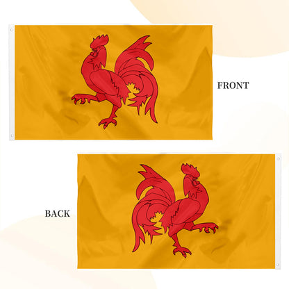 Walloon Region (Belgium) Theme flag 3x5ft banner man cave