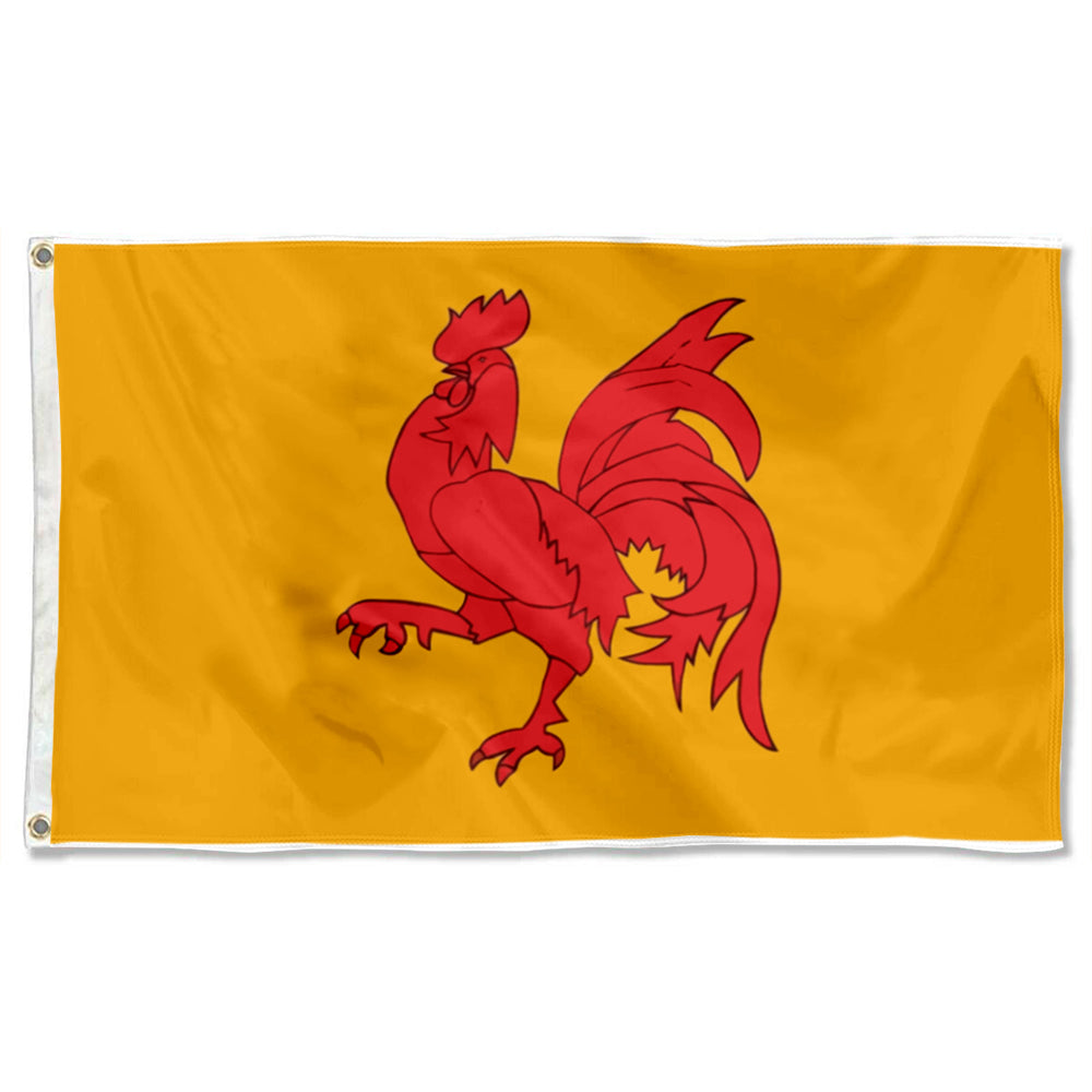 Walloon Region (Belgium) Theme flag 3x5ft banner man cave