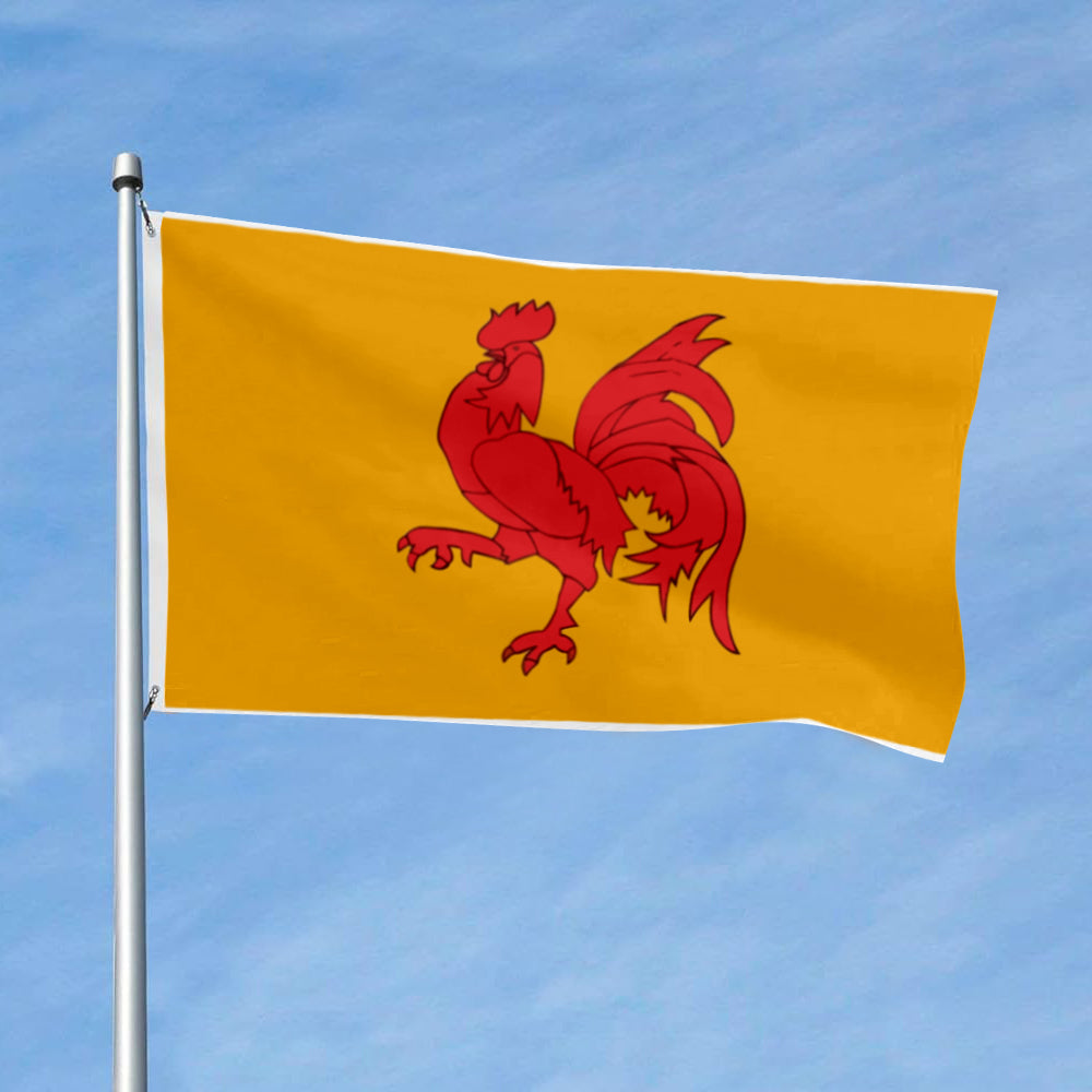 Walloon Region (Belgium) Theme flag 3x5ft banner man cave