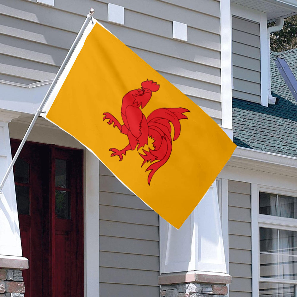 Walloon Region (Belgium) Theme flag 3x5ft banner man cave